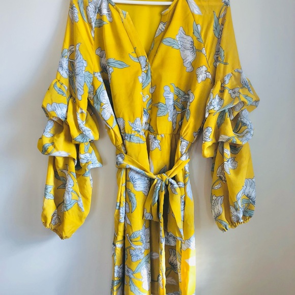 Dex Floral Shirt Dress w/ Bouffant Sleeves & Belt - Picture 4 of 6